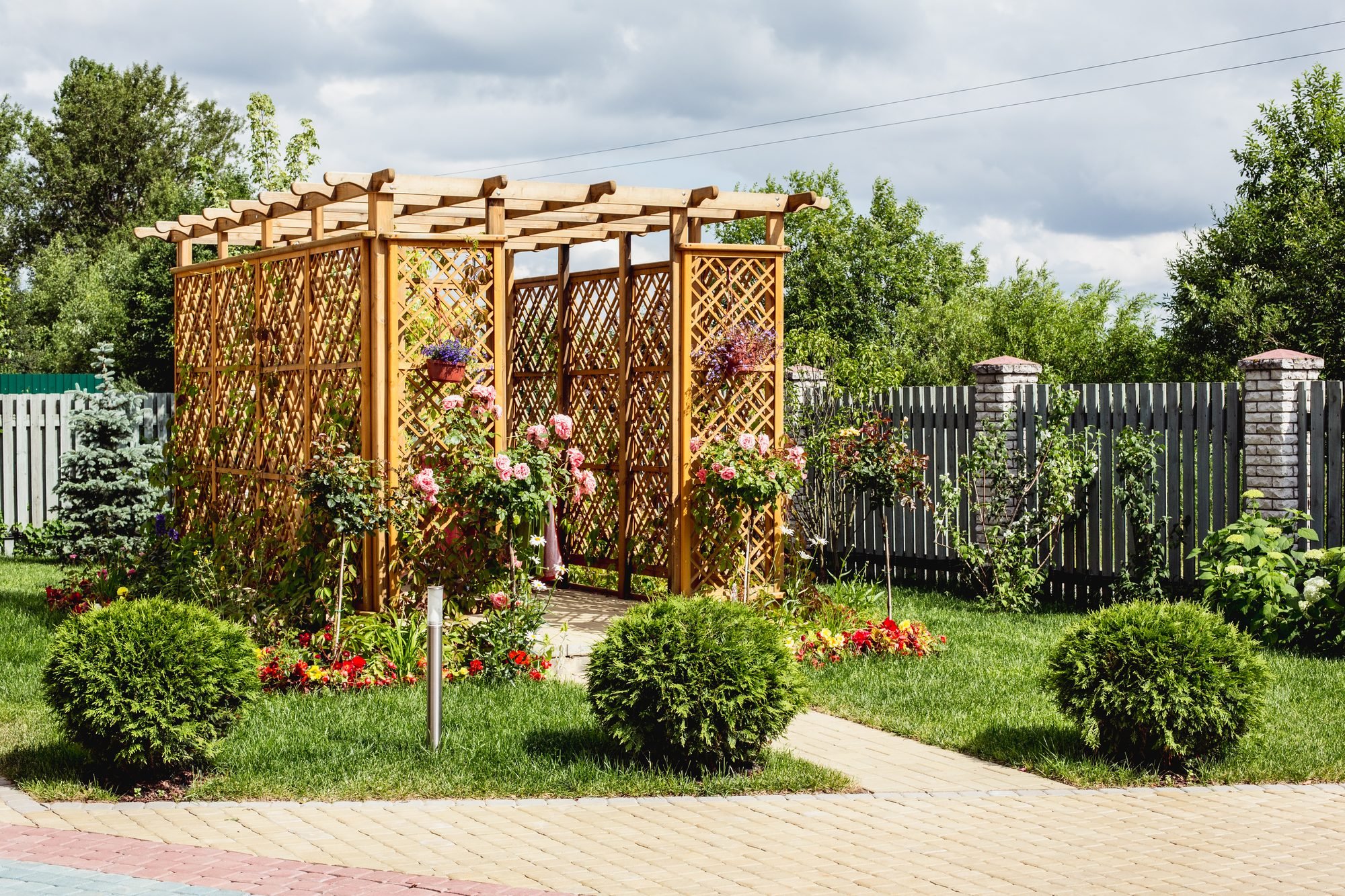 Сад в Парголово