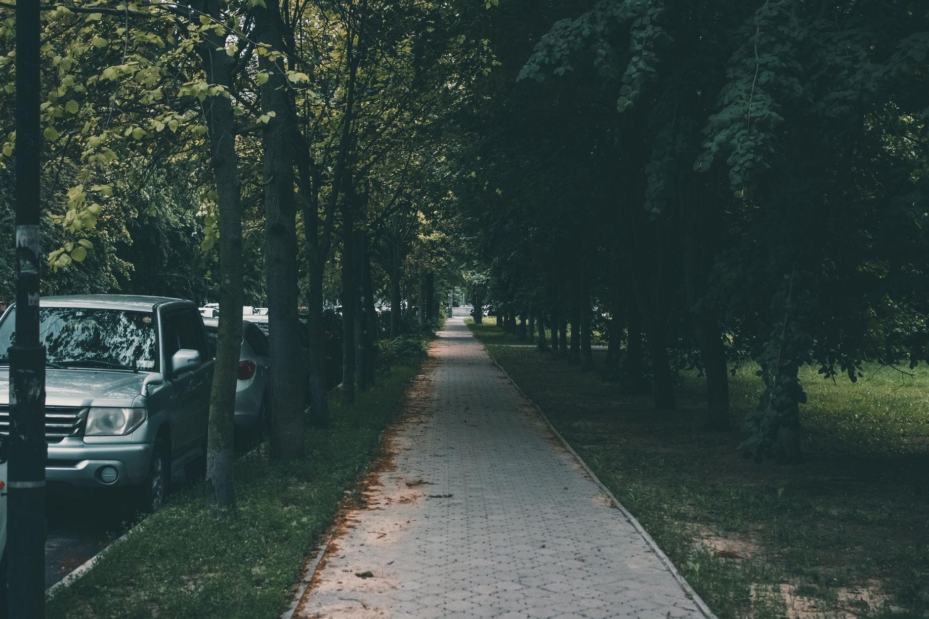 Озеленение территории